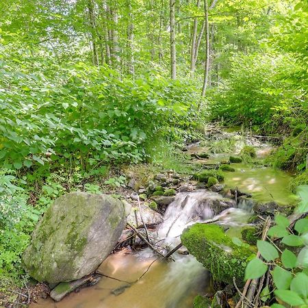 Secluded Marshall Cottage Hot Tub And Mountain View Exterior photo