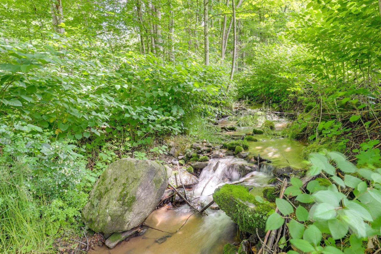 Secluded Marshall Cottage Hot Tub And Mountain View Exterior photo